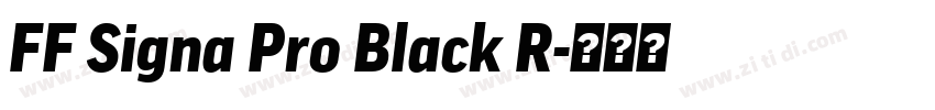 FF Signa Pro Black R字体转换